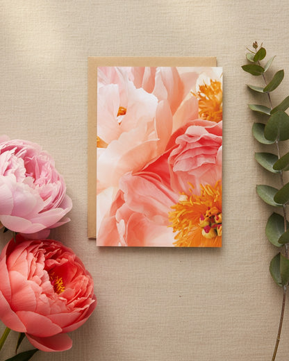 Card - Blush Peonies