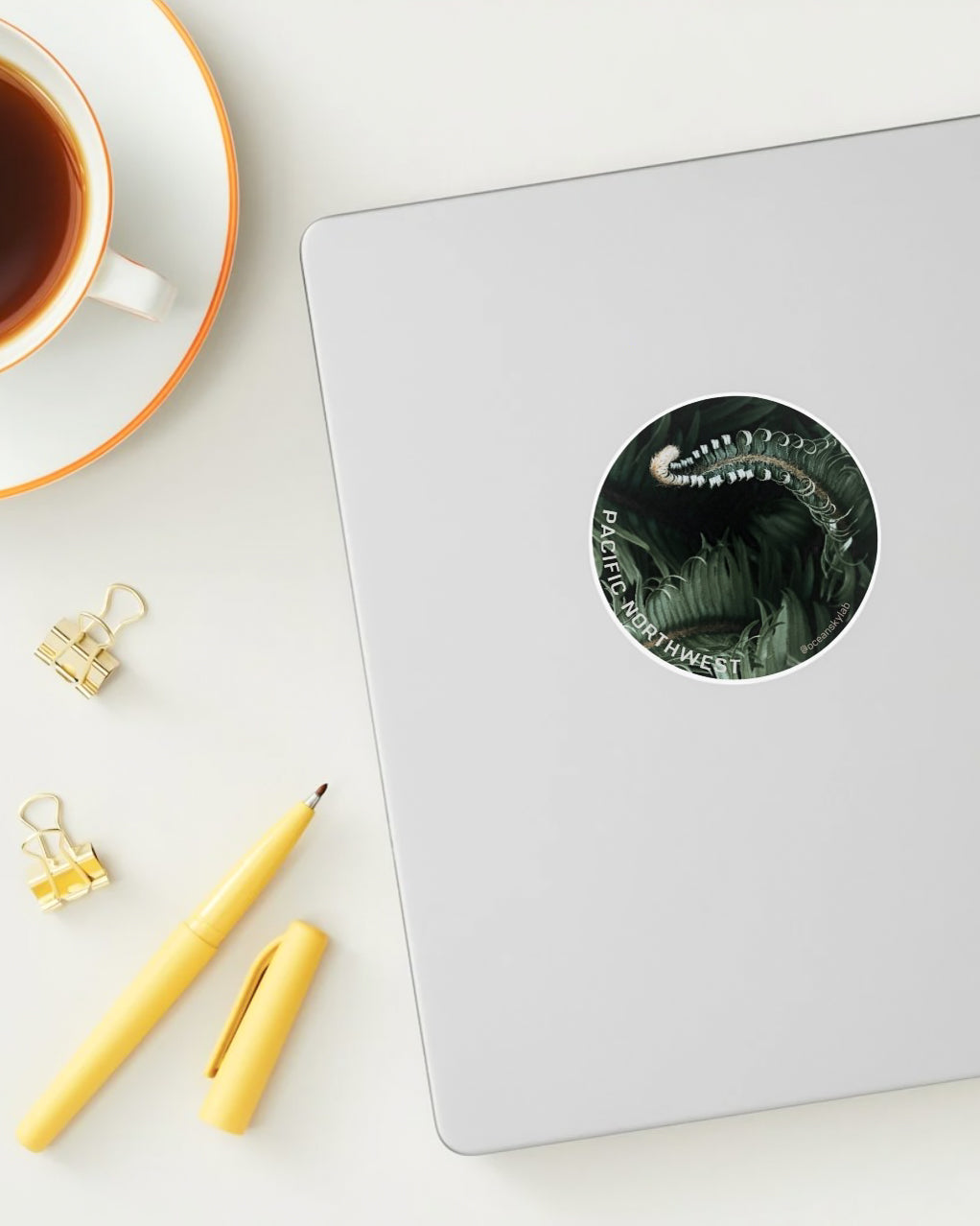 Sticker: PNW Awakening Ferns