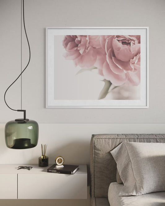 Peony Blooms
