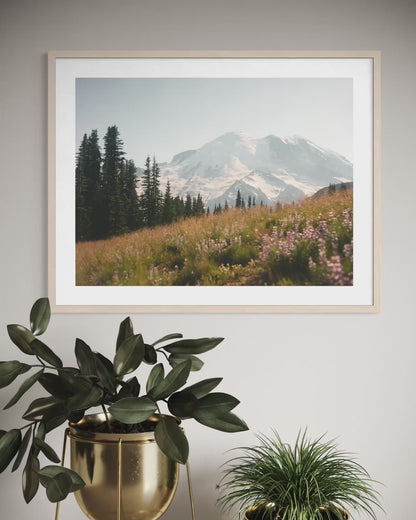 Mount Rainier in bloom II (film)