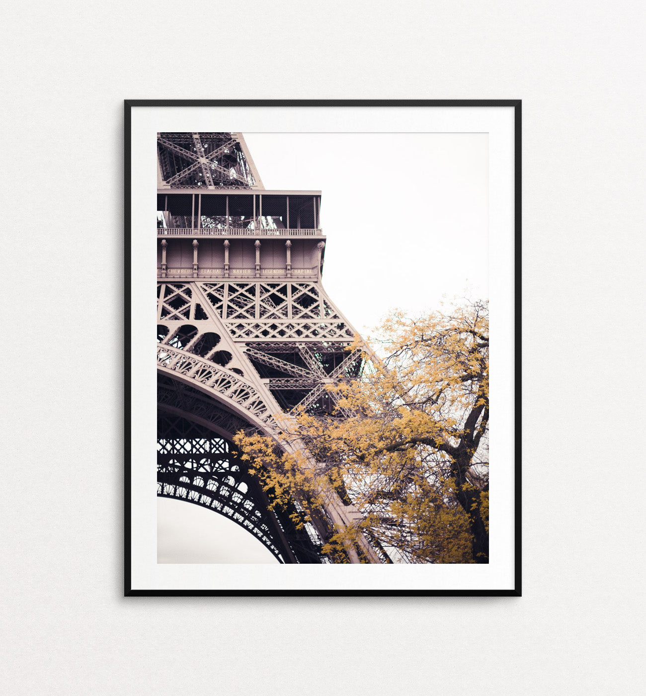 Eiffel in Autumn