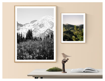 Alpine Meadows at Mount Rainier