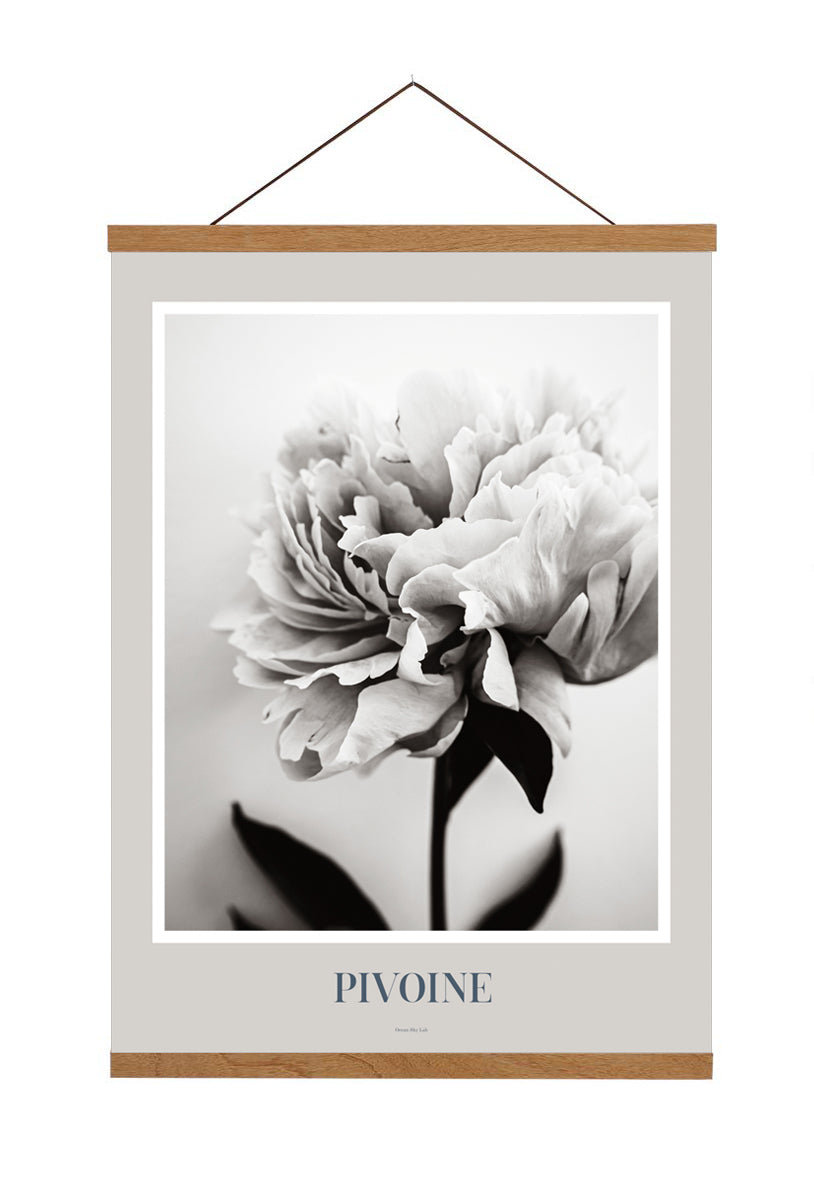 Art Print Poster: Pivoine