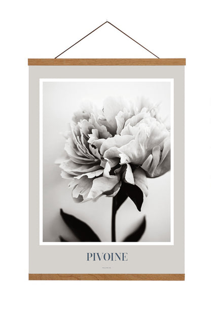 Art Print Poster: Pivoine