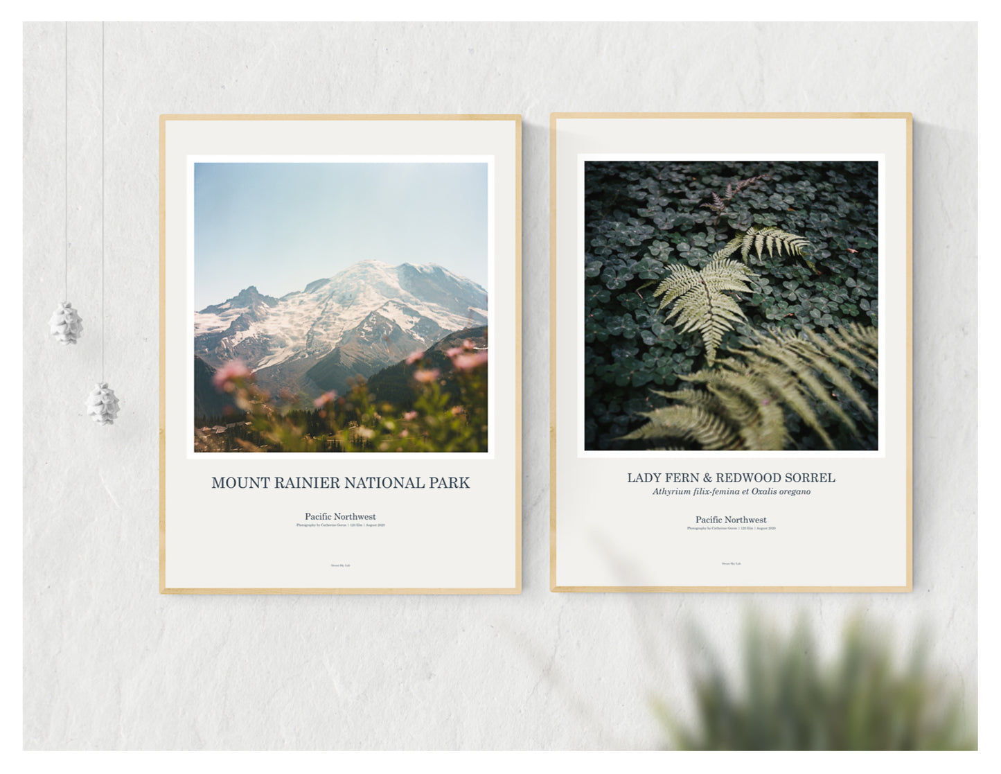 Art Print Poster: Mount Rainier