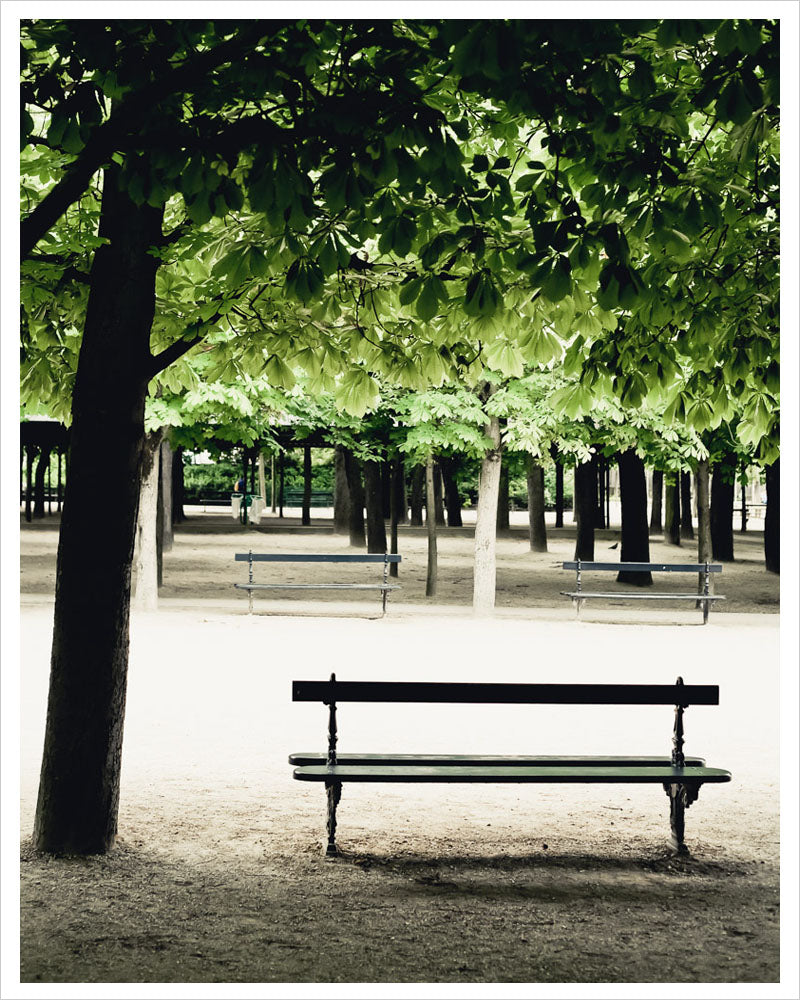 Quiet Spring Morning - Luxembourg Gardens