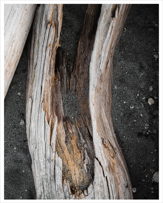 Driftwood
