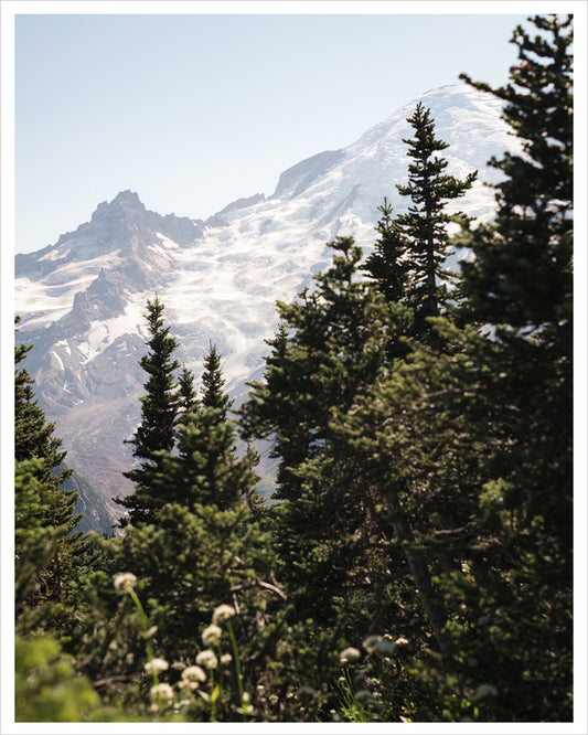 Mount Rainier National Park