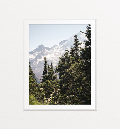 Mount Rainier National Park