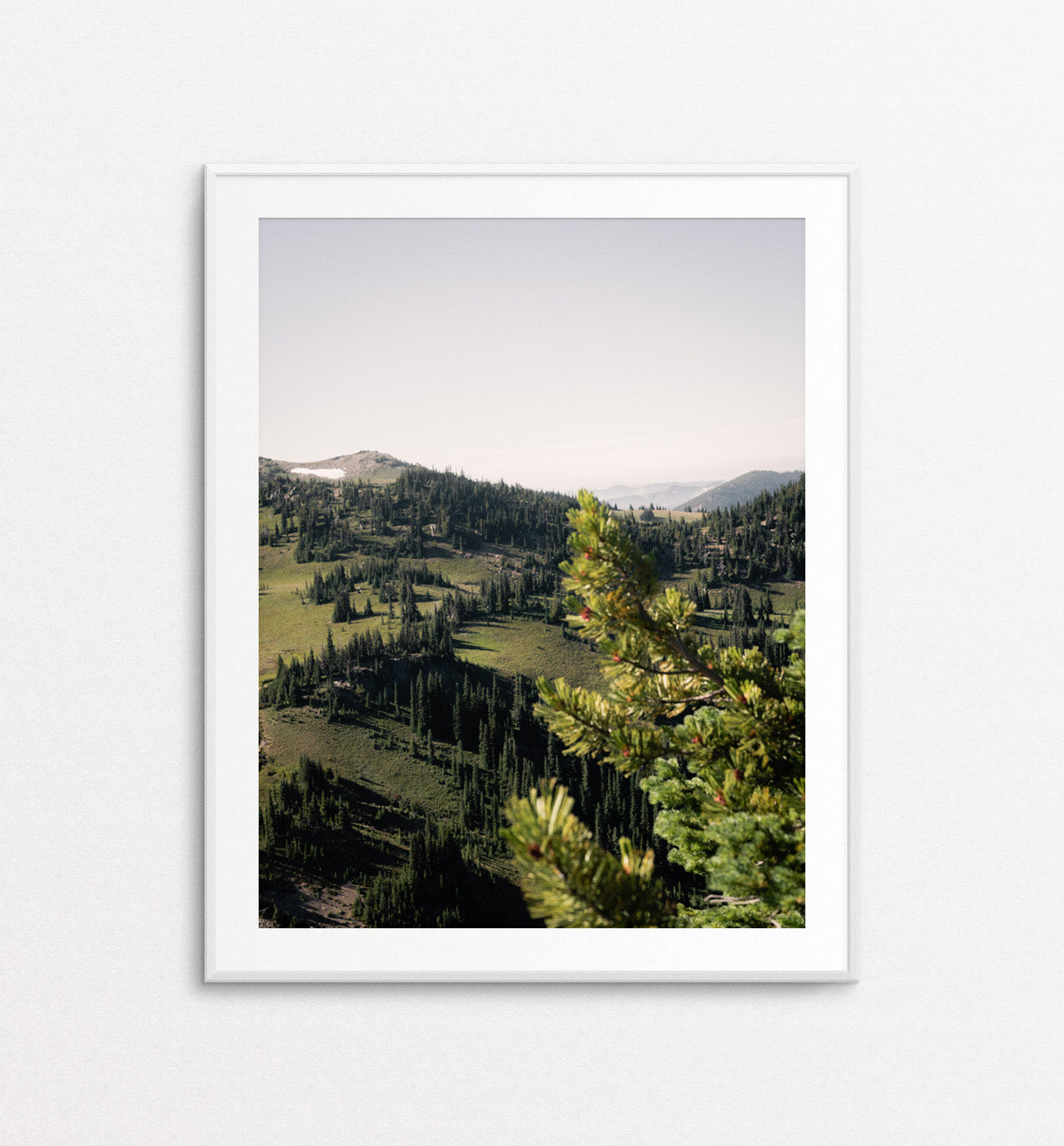 Alpine Meadows at Mount Rainier