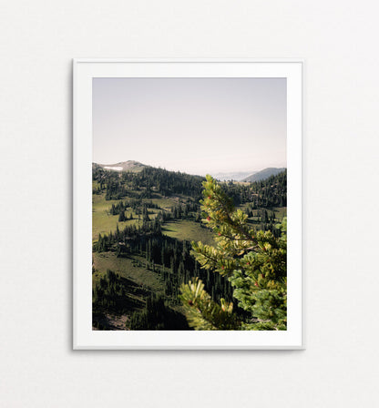 Alpine Meadows at Mount Rainier