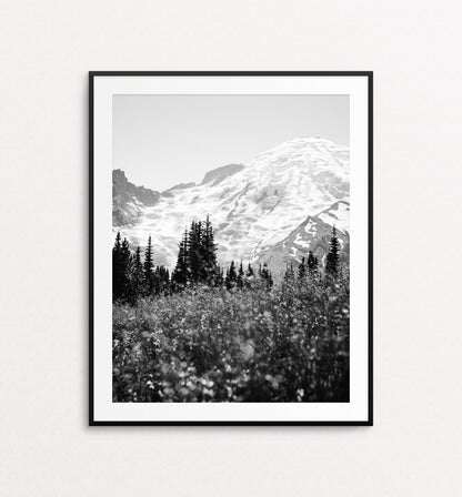 Mount Rainier in Bloom