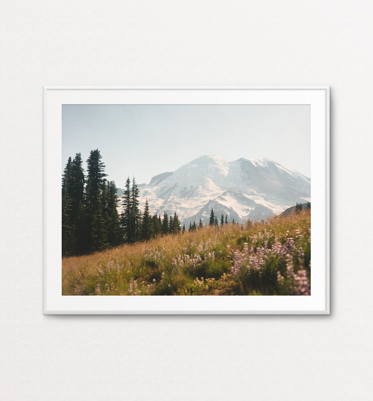 Mount Rainier in bloom II (film)