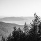 Openness - San Juan Islands