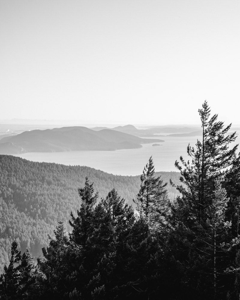Openness - San Juan Islands