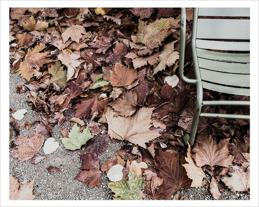 Autumn Leaves - Luxembourg Gardens