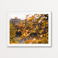 Bonjour Autumn