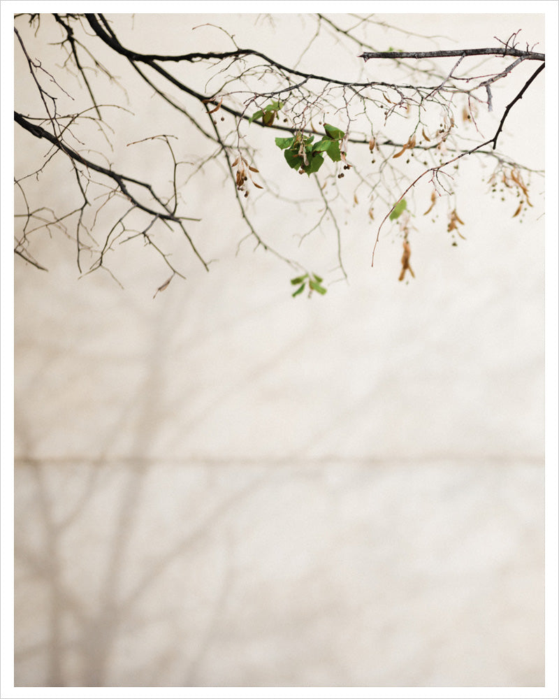 Hint of Autumn - Paris