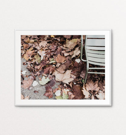 Autumn Leaves - Luxembourg Gardens