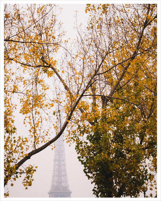 Misty Eiffel