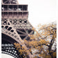 Eiffel in Autumn