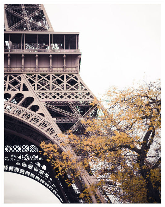 Eiffel in Autumn