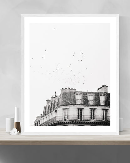 Flight - Paris