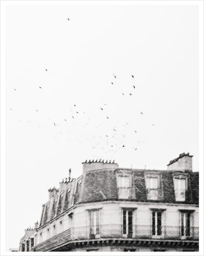 Flight - Paris
