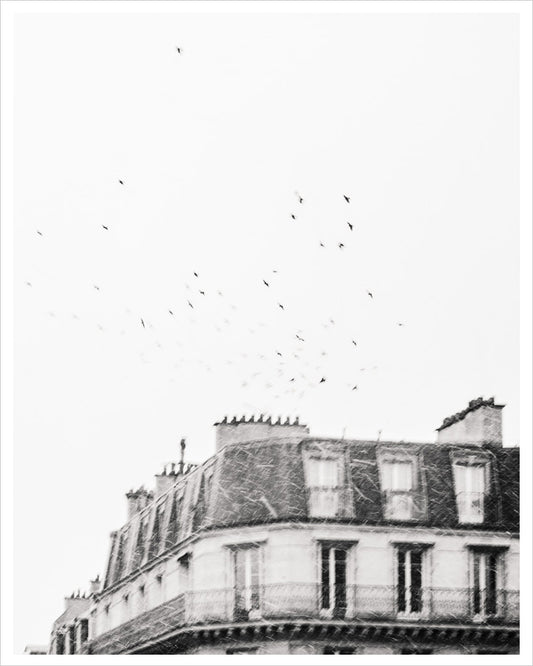 Flight - Paris