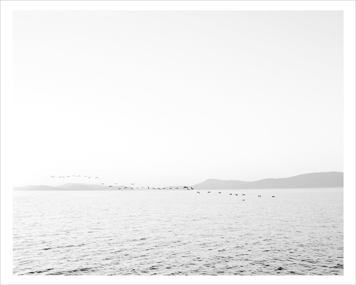 Eternity - Puget Sound PNW