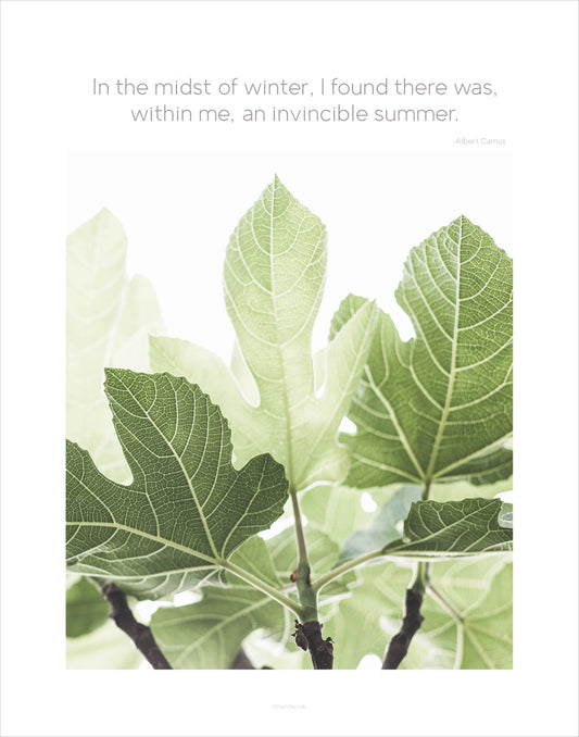 Quote Print: Invincible Summer