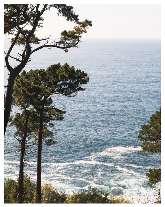 The Fluency of the Ocean - Spain
