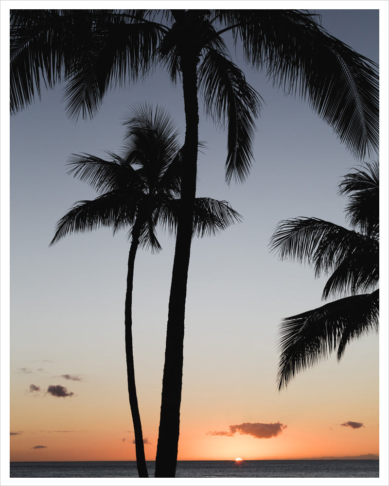 Aloha Sunset - Hawaii