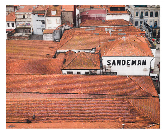 The Rooftops of Porto