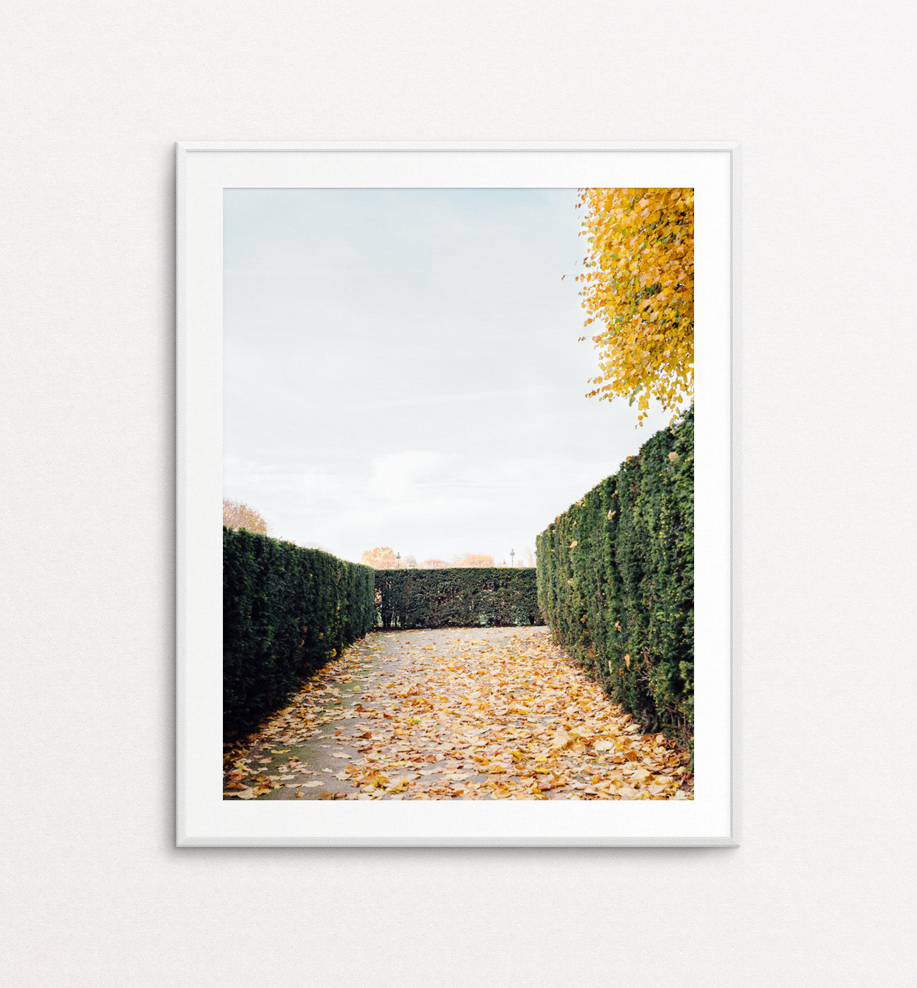 Autumnal Path - Paris